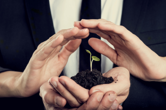 Nos tips pour choisir un lieu de séminaire écoresponsable